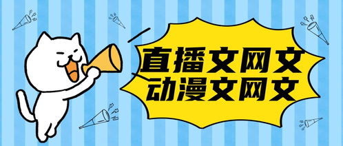 郴州网络文化经营许可证办理条件与流程详解
