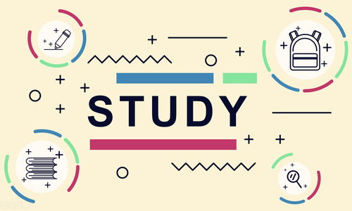 网络文化经营许可证 开启合规运营与长远发展的关键钥匙