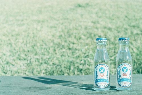 办理网络文化经营许可证 演出剧、节目、表演类的全攻略